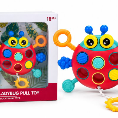 Ladybug Pull Toy éducatif 18M+ sur fond blanc